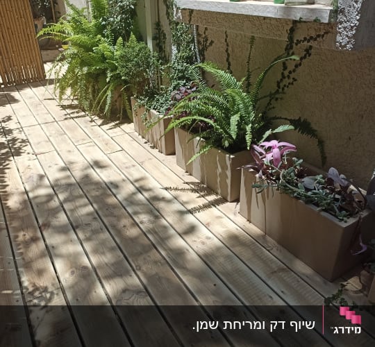 עציצים עם צמחים על רצפת עץ בגינה